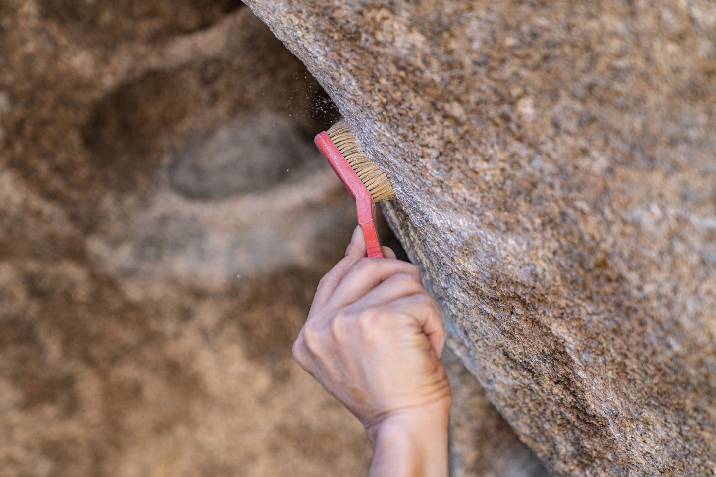 Footless Bird Climbing Brush (Pink)