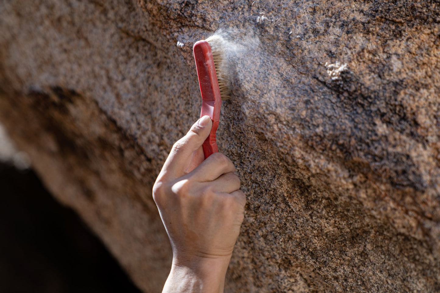 Footless Bird Climbing Brush (Pink)